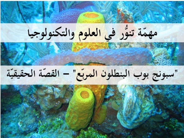 مهمة سبونج بوب